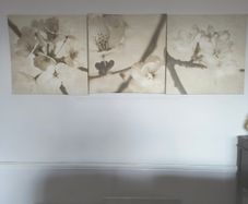 Three Picture Set