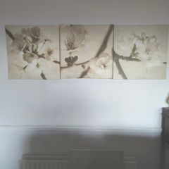 Three Picture Set