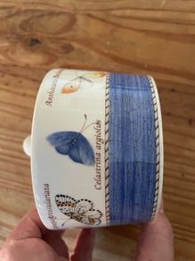 Sugar bowl
