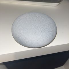 Google Mini Nest