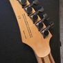 Ibanez RG8570TT J custom Image 3