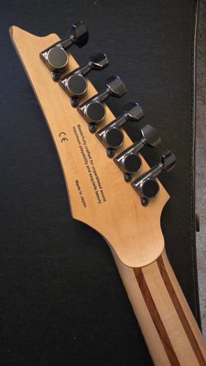 Ibanez RG8570TT J custom