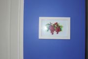 Cross stitch pictures