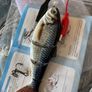 Rechargeable Electric Swimming Fishing Bait with LED Image 5