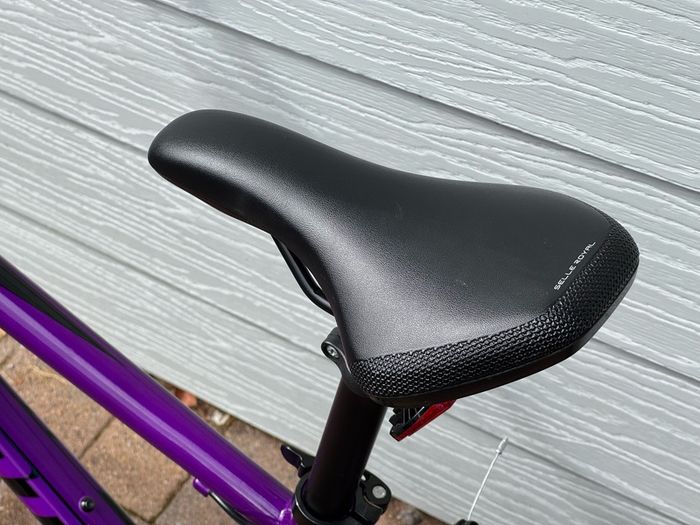 Giant ARX 24" Junior Bike - Purple