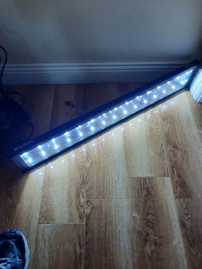 Marine Light