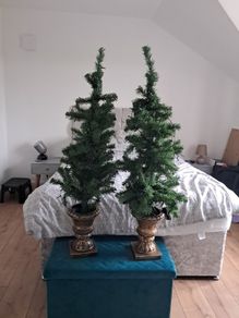 mini christmas trees