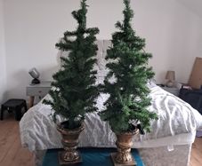 mini christmas trees