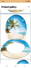 toilet seat