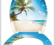 toilet seat