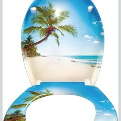 toilet seat
