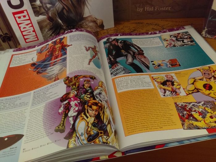 The DC Comics Encyclopedia ! The Definitive Guide To The Characters Of The DC Universe ! Beautiful Hardback !