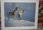 Wolves In The Snow