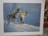 Wolves In The Snow