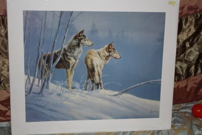 Wolves In The Snow