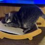Cat Scratching Pad and sleeping bed Image 4