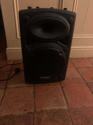 ibiza speaker