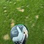 Callaway Elyte 7 Wood Image 2