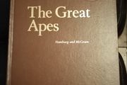 The Great Apes A Perspective on Evolution