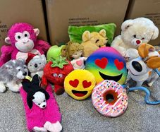 teddies free to take away