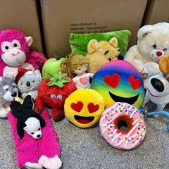 teddies free to take away