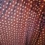 polka dot Image 7