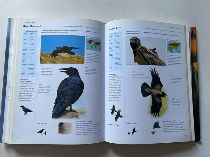 Birds (also published as Encyclopedia of Birds)