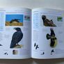 Birds (also published as Encyclopedia of Birds) Image 3