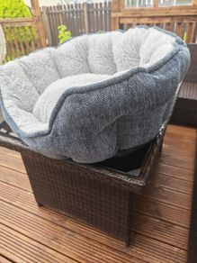 dog bed