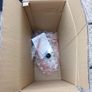 punch ball with stand. New in box. Image 8