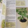 New book House Plants Image 3