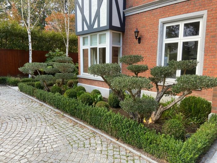 Professional Garden Maintenance - Dublin & North Wicklow