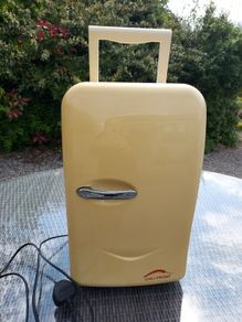 Mini cooler fridge
