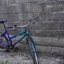 adult bike Image 5