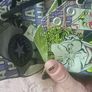 Converse rare shoes Joker hahaha 6.5 Image 7