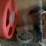Hamster Enclosure with Accessories Image 3