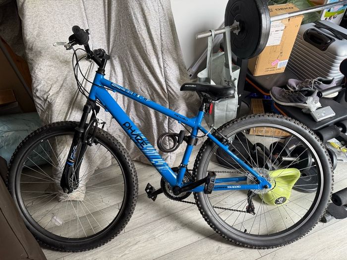 Bike 17"