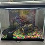 Fish Tank Image 2