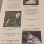 Siberian Huskies New Owners Guide, By Kathleen Kanzler, Hardcover Image 4