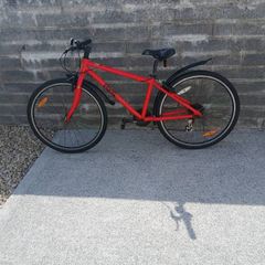 Kids Frog Bike