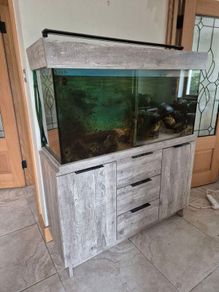 220l fish tank