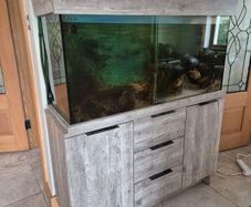 220l fish tank
