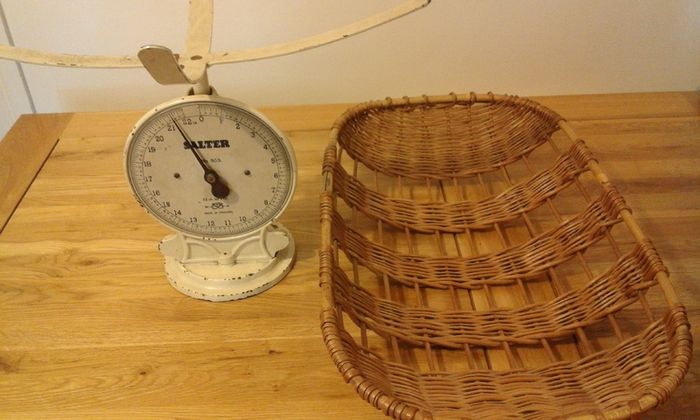 Salters scales