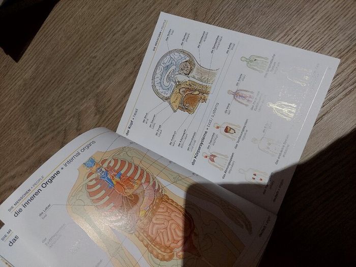 German English Bilingual / Visual Dictionary
