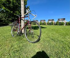 Raleigh Routier, Road bike, Xl, 60cm, Vintage Bike