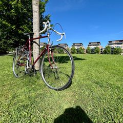 Raleigh Routier, Road bike, Xl, 60cm, Vintage Bike