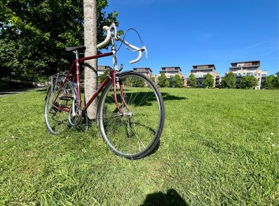Raleigh Routier, Road bike, Xl, 60cm, Vintage Bike