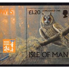 1997 Isle of Man Owls (Long-eagled Owls) Commemorative Stamp Miniature Sheet Mint Never Hinged (MNH)