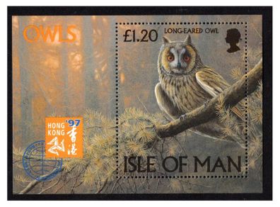 1997 Isle of Man Owls (Long-eagled Owls) Commemorative Stamp Miniature Sheet Mint Never Hinged (MNH)