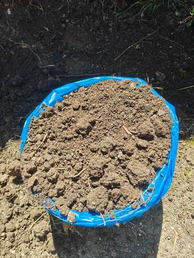 Top soil